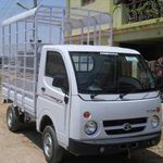 Hire Tata Ace for Shifting of a Quick Goods Transportation